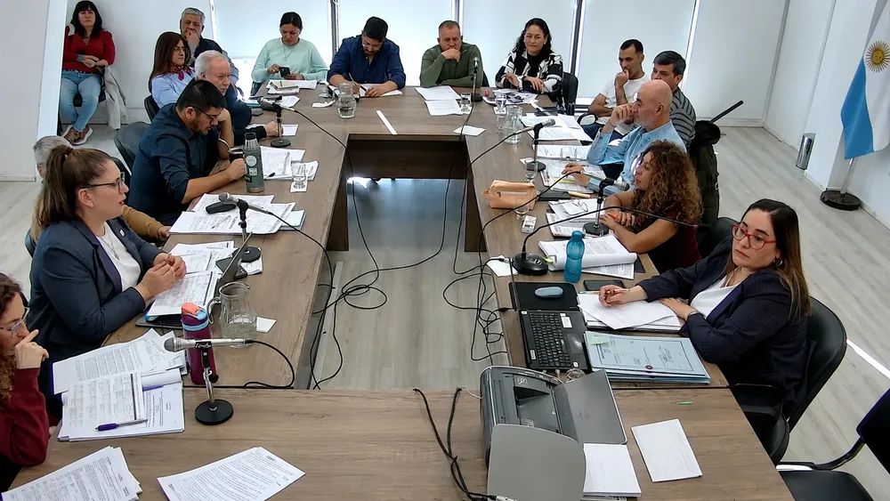 comision extraordinaria ley electoral