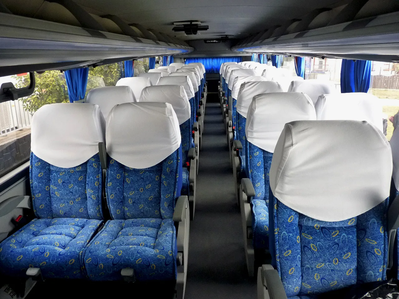 colectivo
