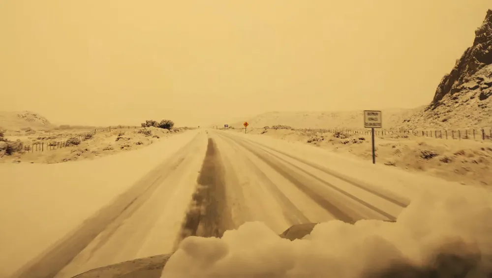 WhatsApp Image 2024-06-05 at 11.00.26