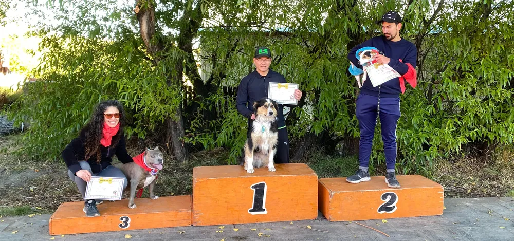 Maraton perruna 2024 -2