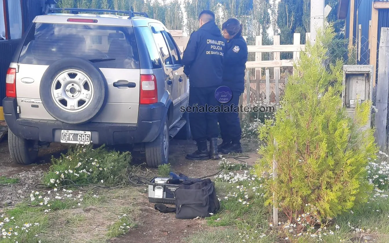 WhatsApp Image 2026-02-02 at 20.21.46 (1)