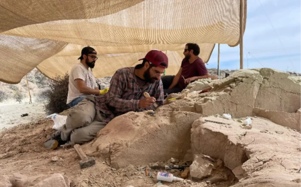 5. Excavación