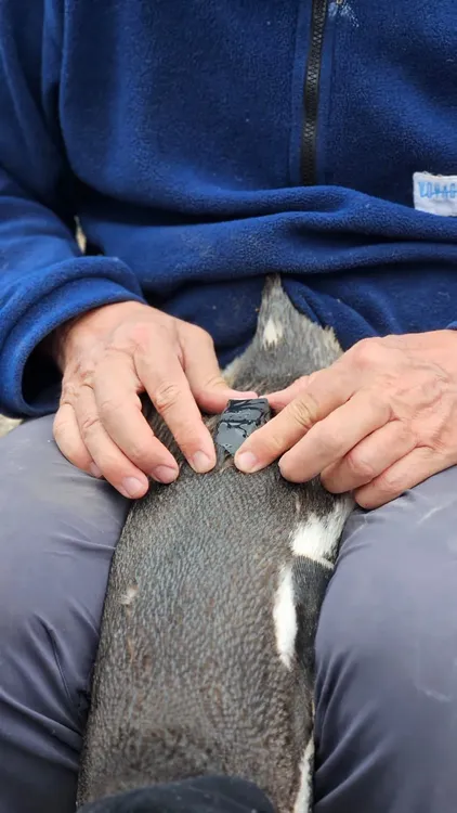 WhatsApp_Image_2025-12-12_at_10.21.28