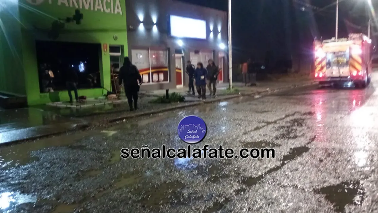 WhatsApp Image 2025-11-14 at 09.41