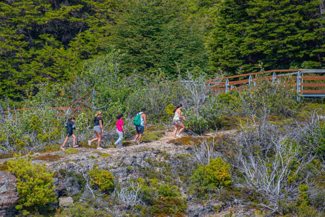 WhatsApp Image 2023-01-29 at 19.47.52