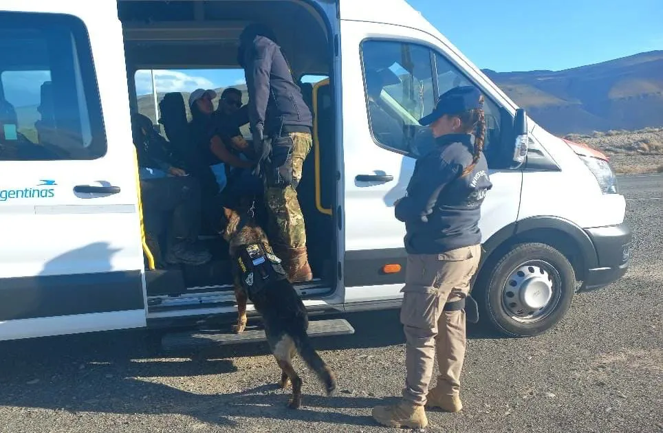 WhatsApp Image 2024-01-26 at 22.50.24 (1)