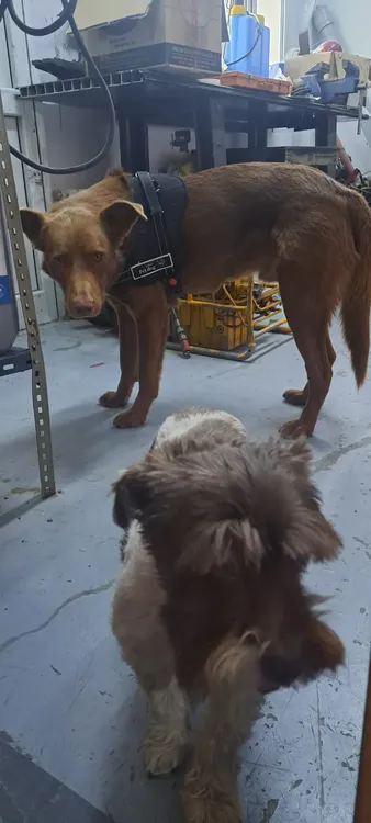 WhatsApp Image 2024-02-04 at 20.10.38