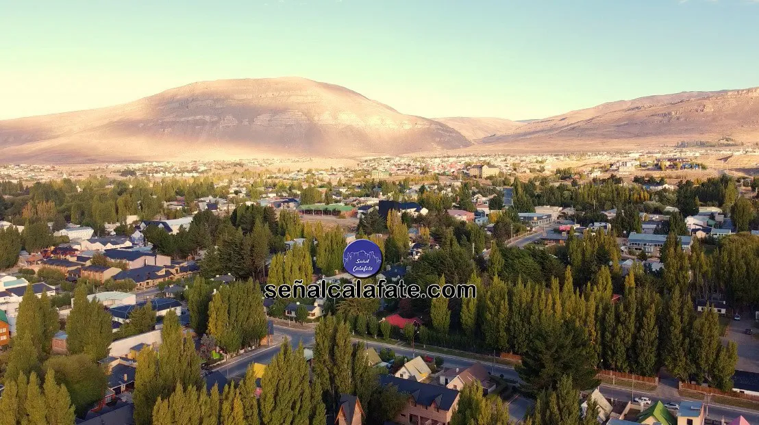 174040407_750761715532440_8463774810062340208_n (1)~1