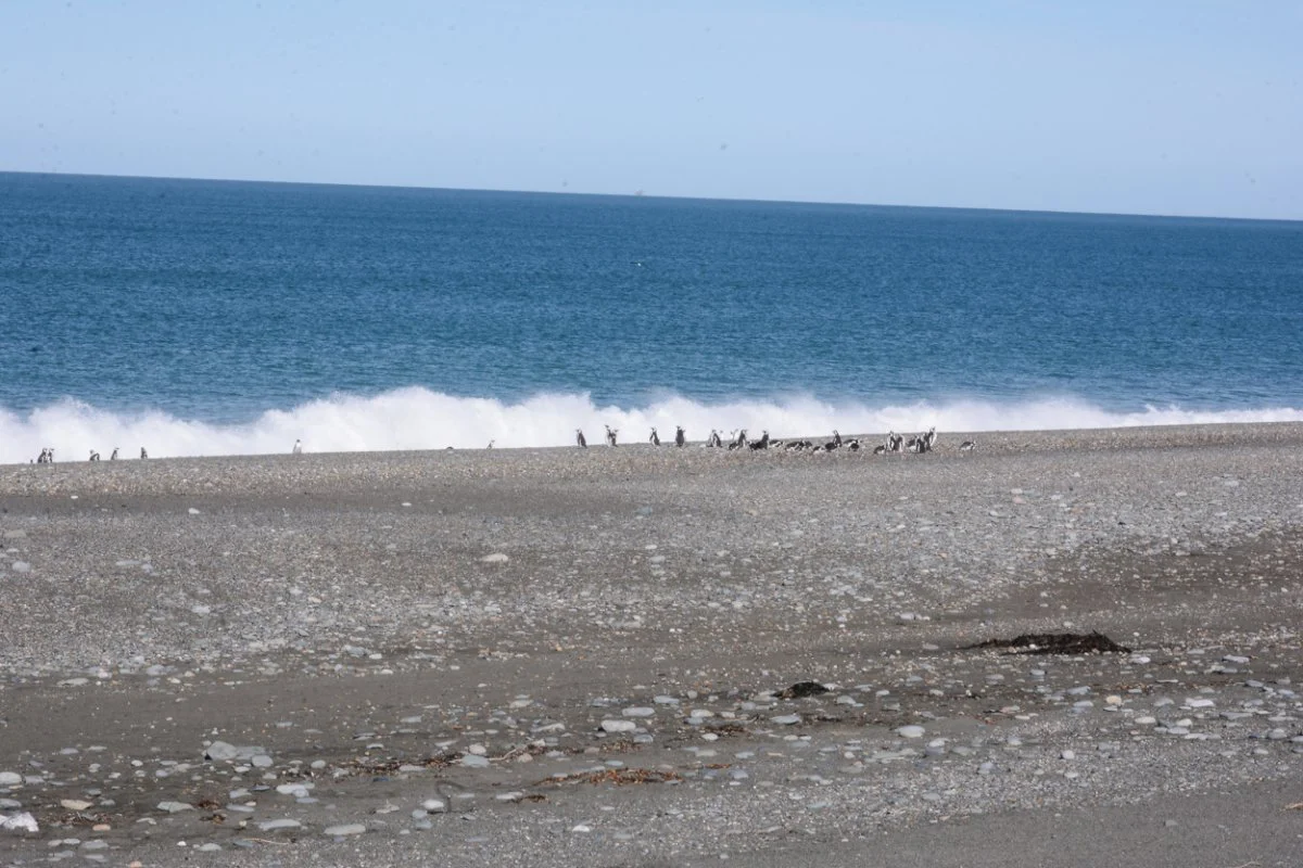 20260915_CABO_VIRGENES__14_