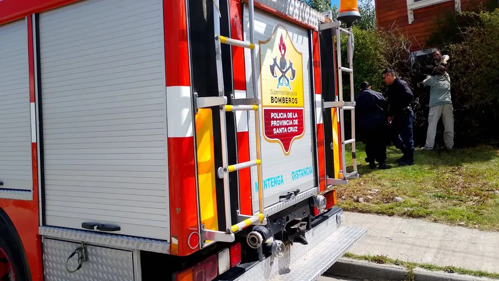 WhatsApp Image 2025-02-01 at 19.00.03