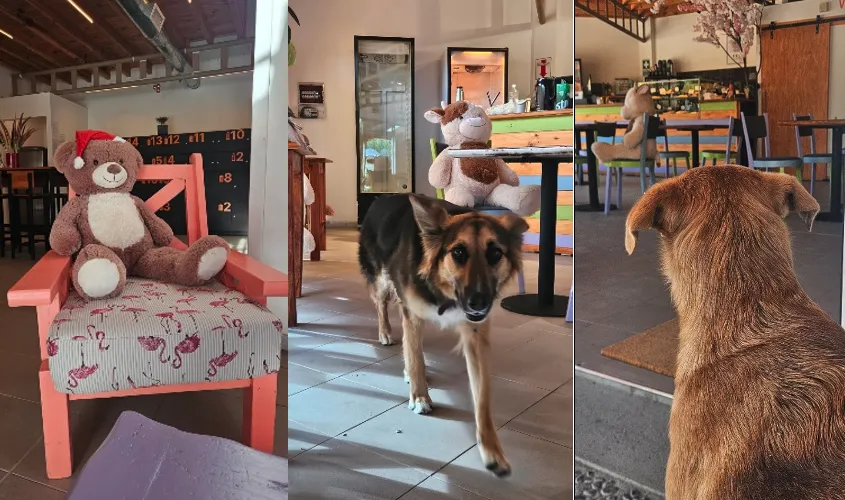 Captura de Pantalla 2026-01-22 a la(s) 17.26.13