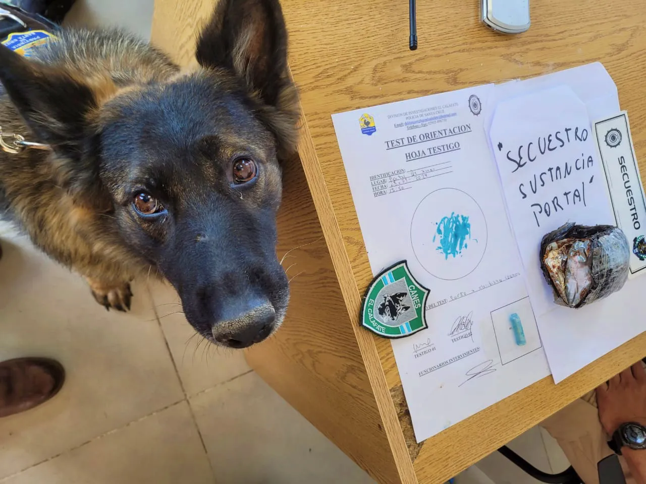 WhatsApp Image 2024-01-28 at 18.17.21