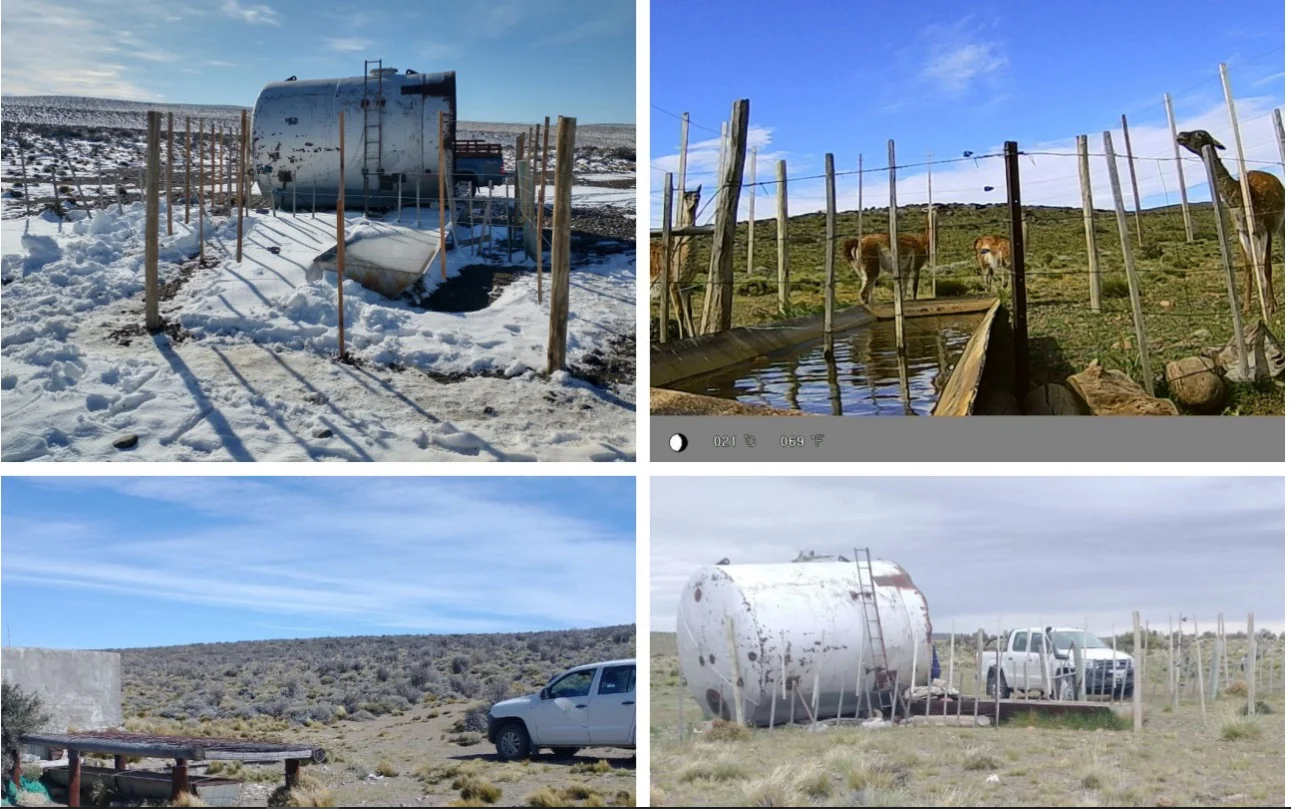 inta guanaco2