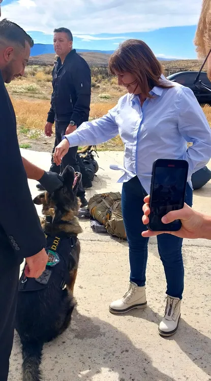 WhatsApp Image 2024-01-28 at 18.17.24