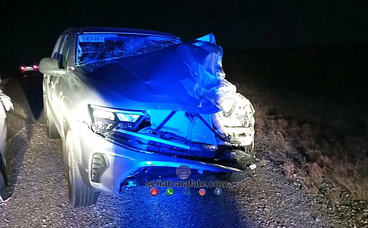 WhatsApp Image 2025-02-13 at 07.16.38