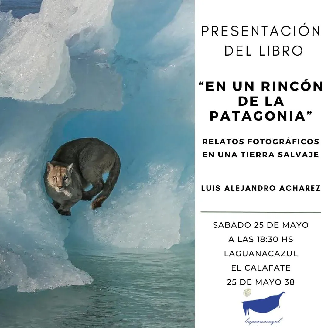 441674009_10230247043111866_1399971313253869949_n