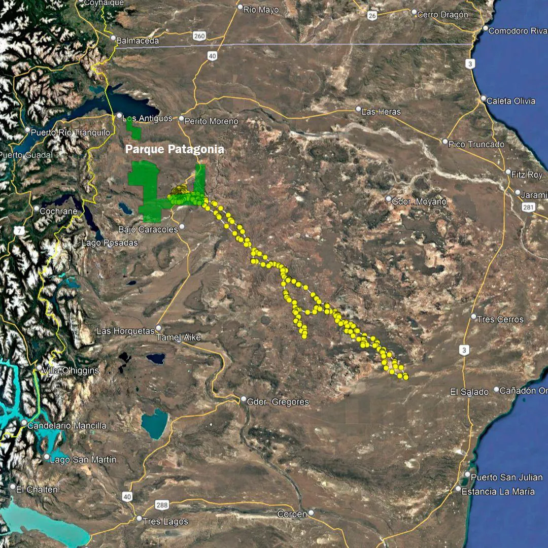Recorrido de KOI