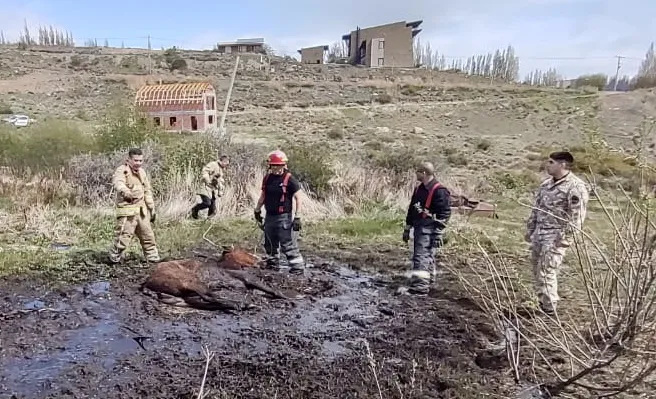 958bc127-440d-417d-aba6-9635789f4fc9