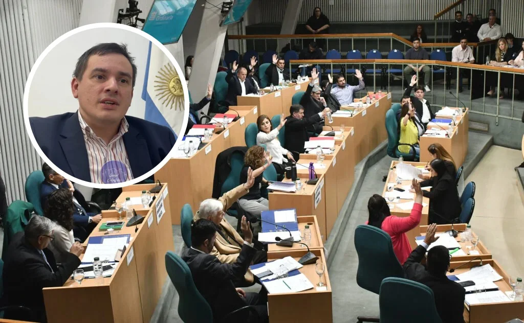 diputados