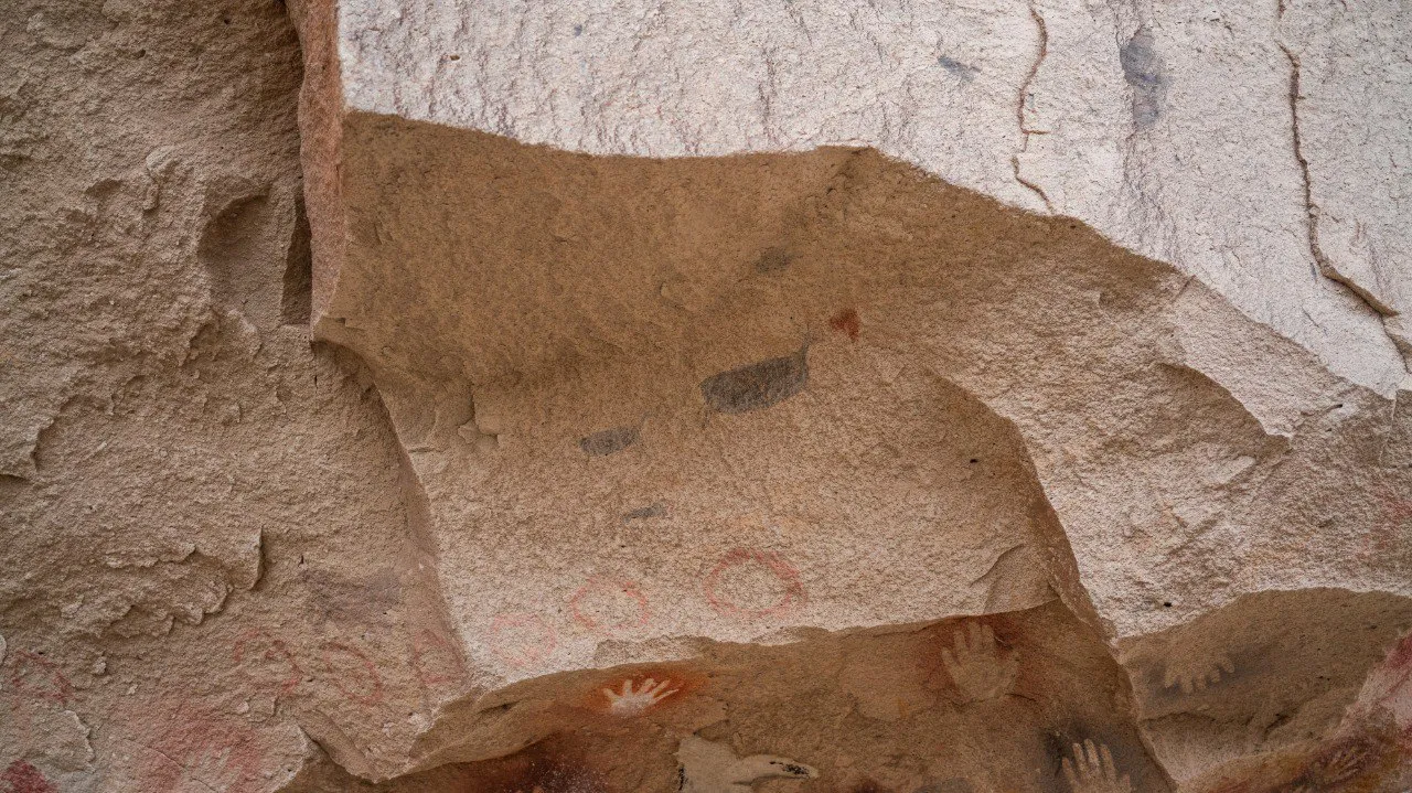 2 Huemul - cueva de las manos  - Marzo 2025 -  Horacio Barbieri