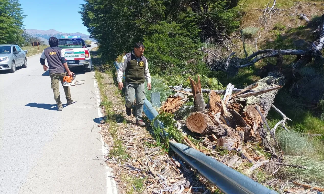 WhatsApp Image 2023-12-27 at 17.56.29 (1)