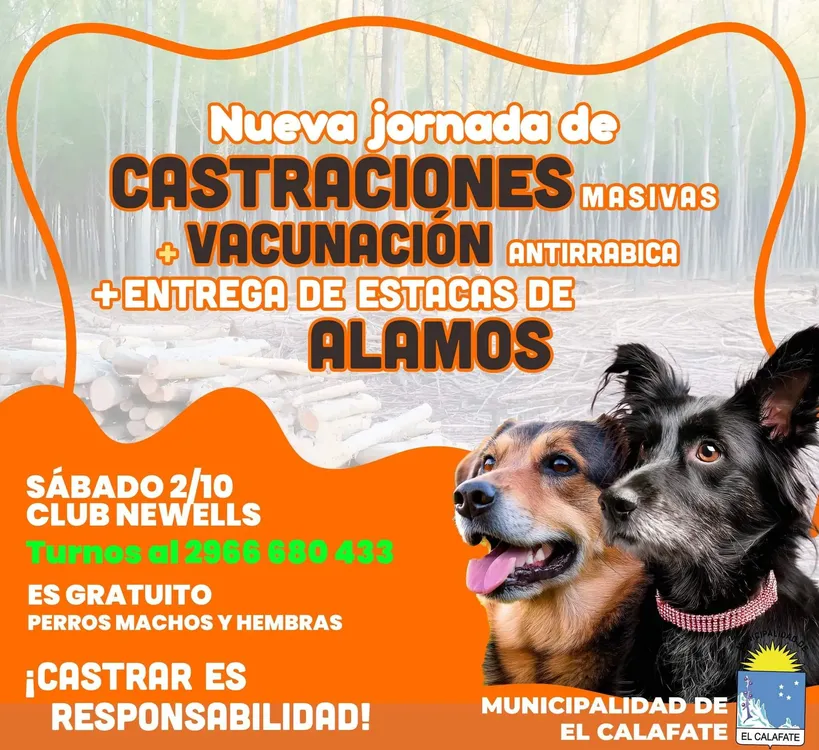 464738724_1141246294237543_1335135387948561831_n