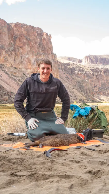 3b4fcf5f-5fb5-48fb-9fb2-aa4d5486b31c