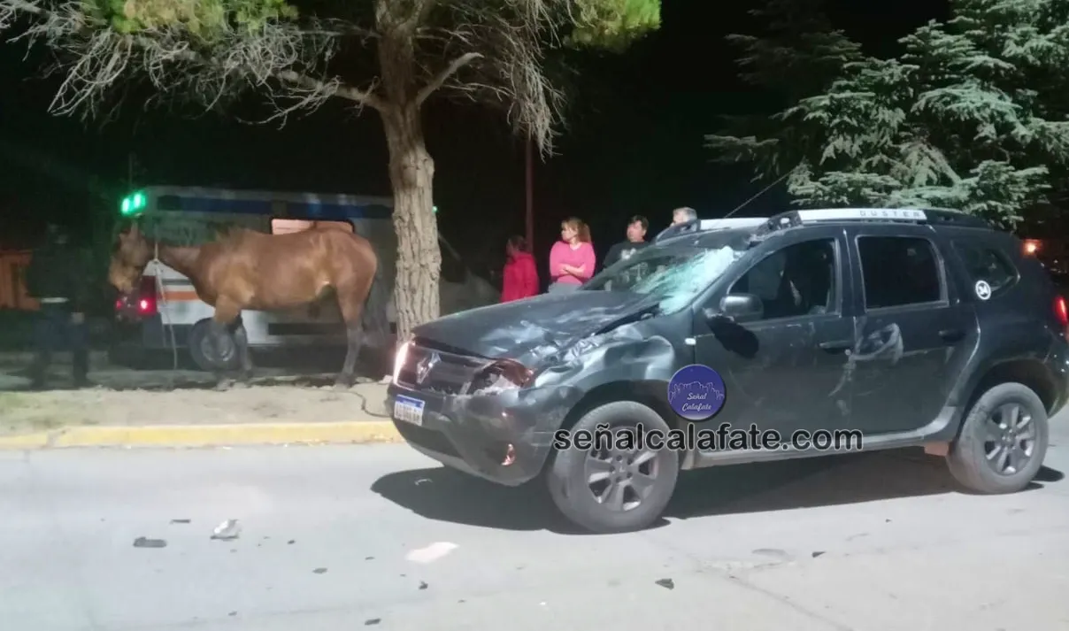 PHOTO-2024-04-16-21-08-00