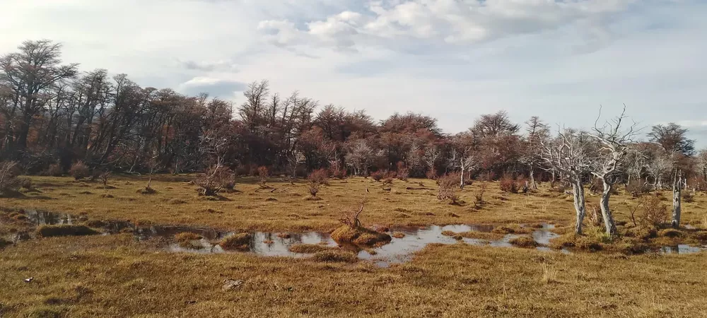 WhatsApp Image 2023-04-23 at 00.15.42