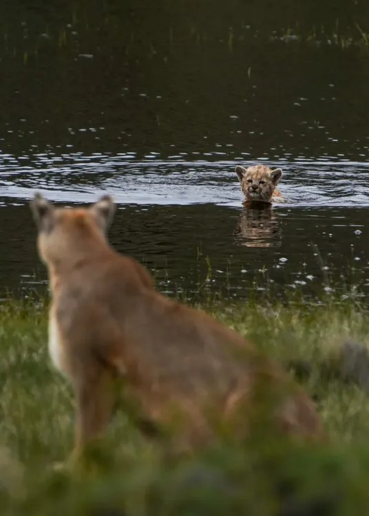 WhatsApp Image 2025-02-05 at 13.57.39