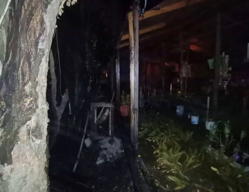 incendio vivero 12 de abril