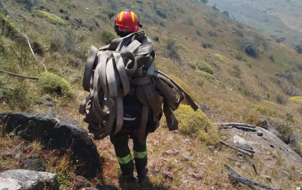 Captura de Pantalla 2026-01-17 a la(s) 17.12.46
