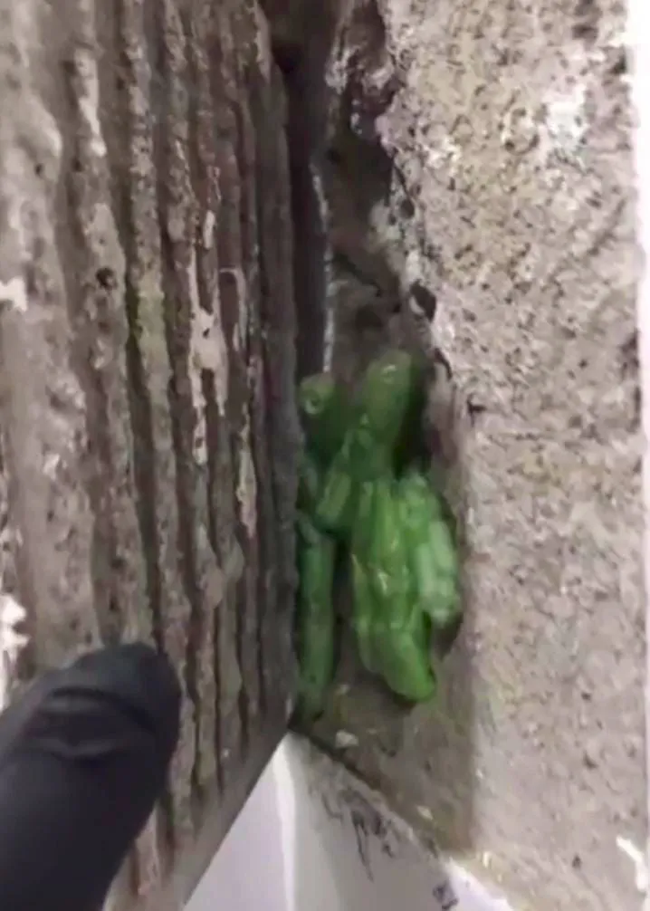 WhatsApp Image 2024-06-07 at 17.27.25 (1)