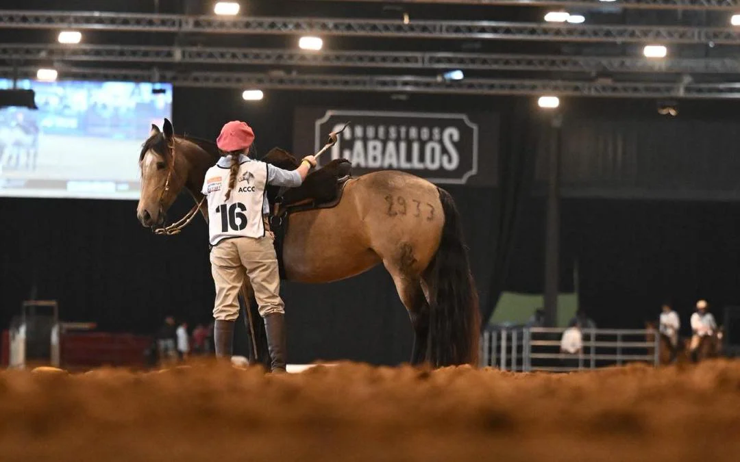 WhatsApp Image 2026-03-29 at 10.07.52 PM