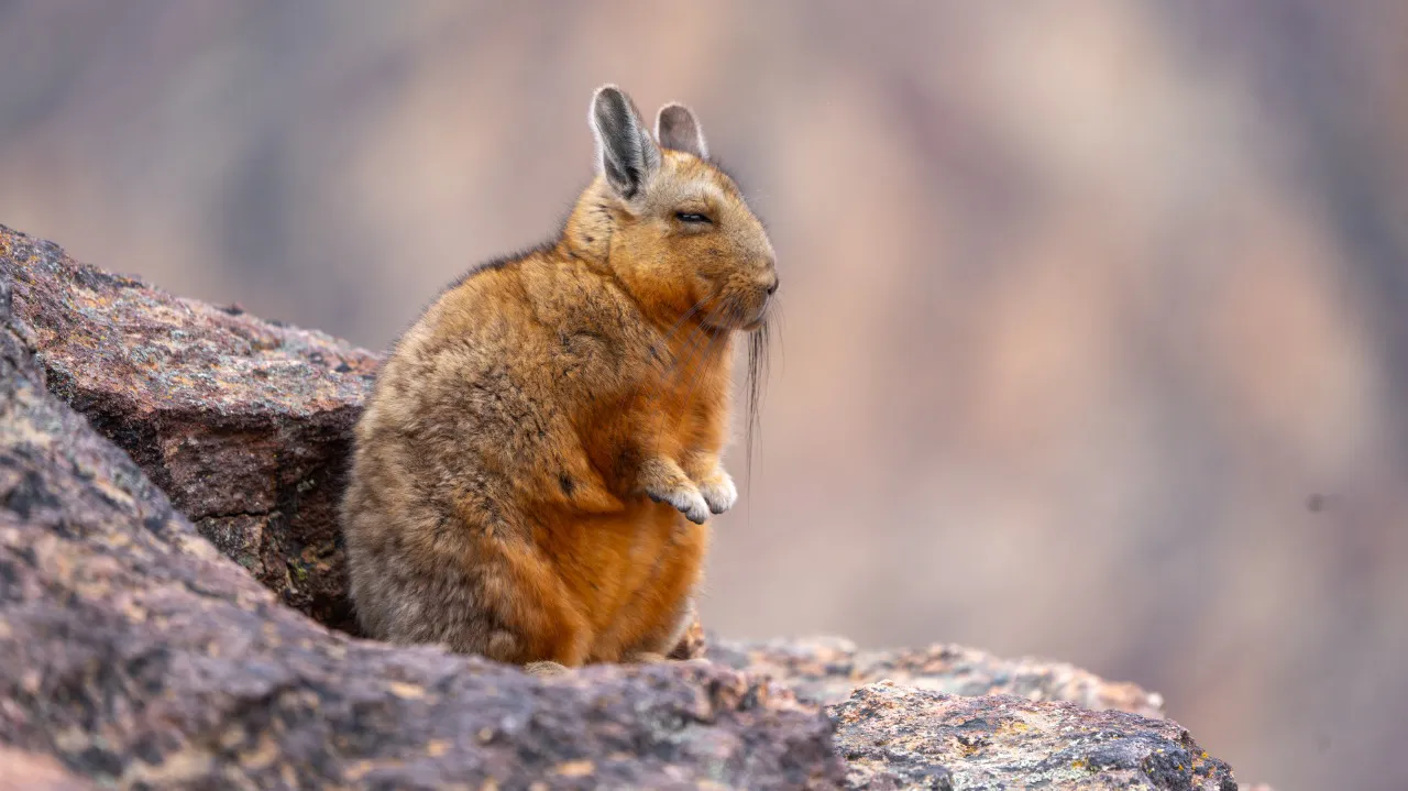 d5d63e61-3c24-4853-b1cf-7957feefe579