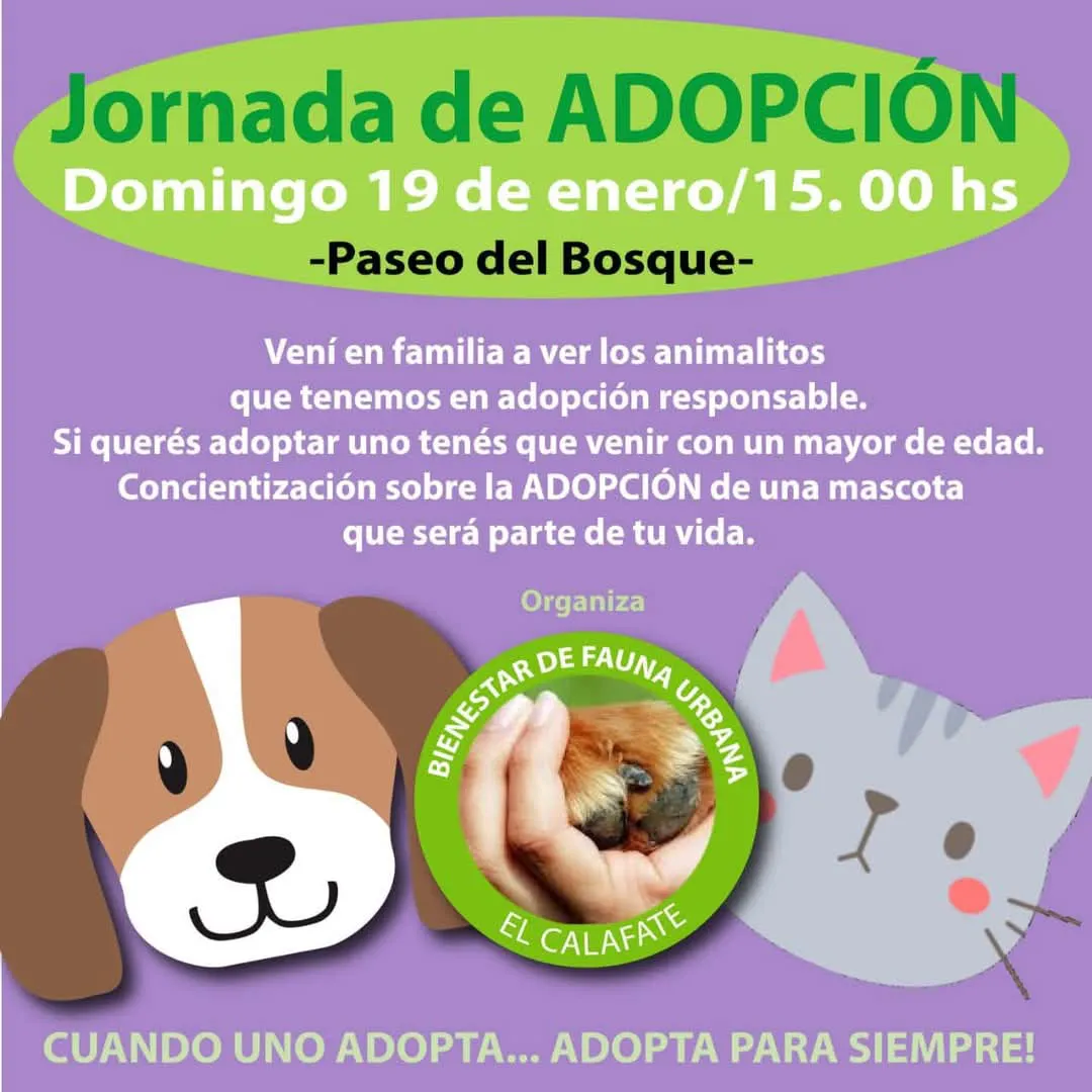 adopcion