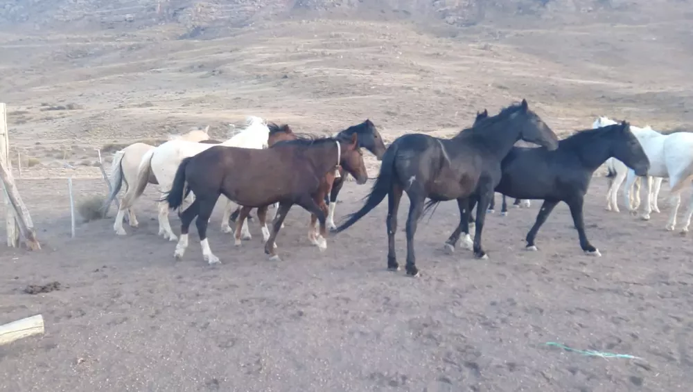 WhatsApp Image 2023-01-24 at 22.56.29