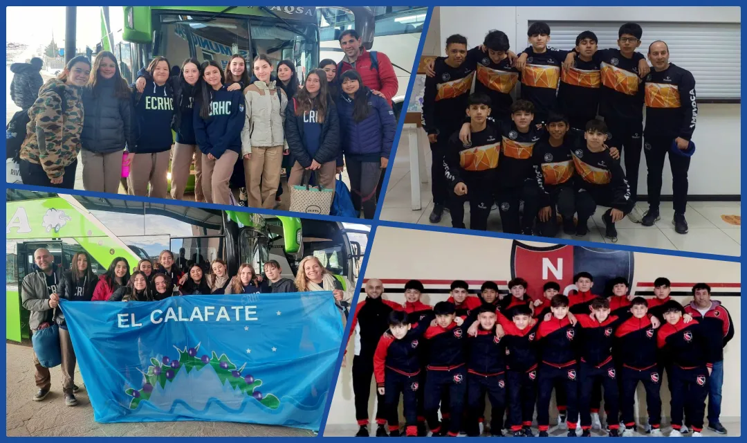 collageevita