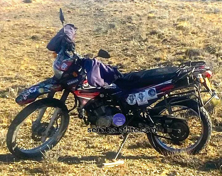 437554138_7625813160832728_1095263504773638328_n~1