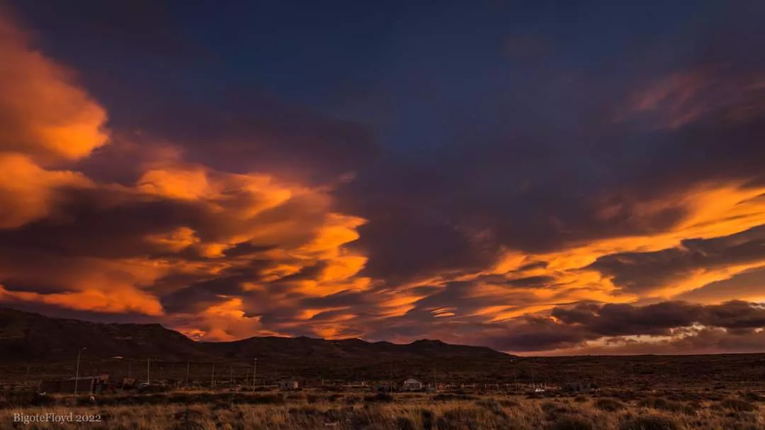 WhatsApp Image 2022-06-03 at 9.40.26 PM