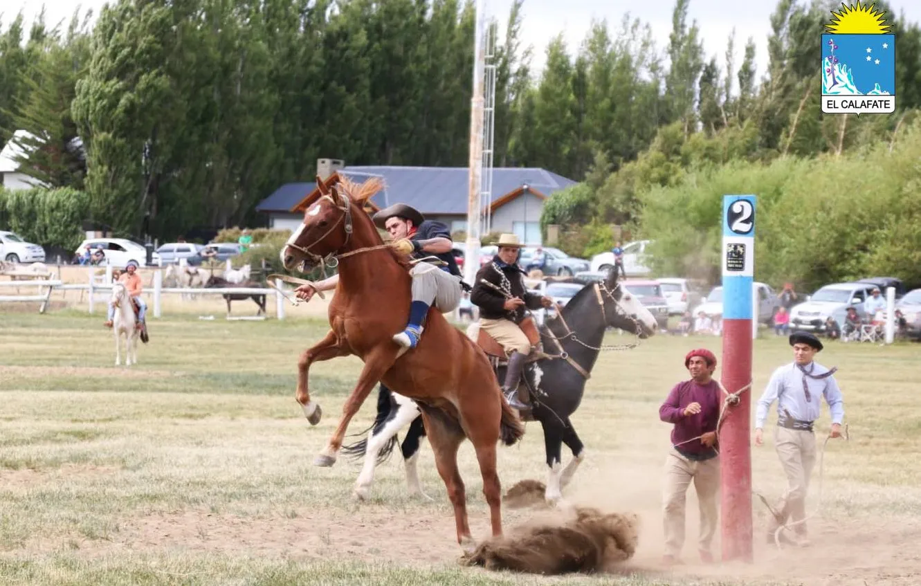 425624351_791228299716775_4147800328061449365_n (1)