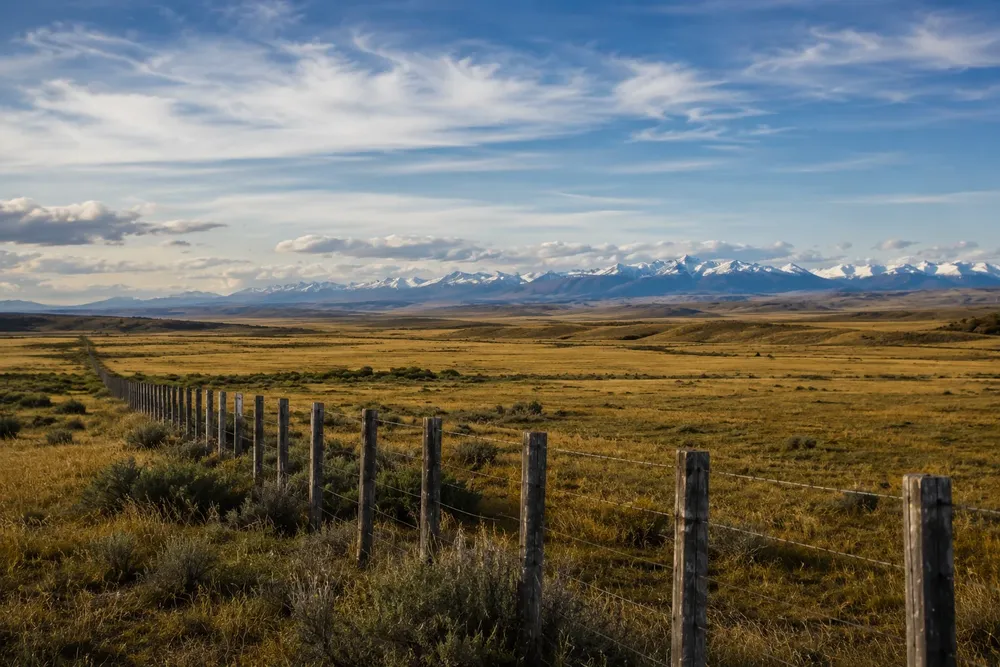 ley de tierras 1