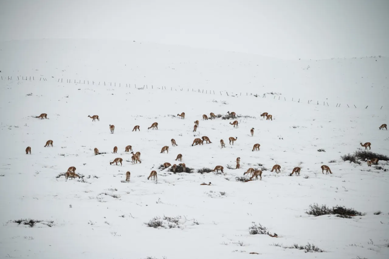 ec39061b-84fa-44e4-b101-8017ea6bc847