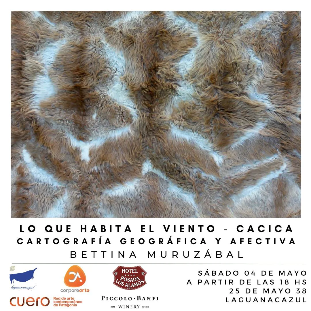 WhatsApp Image 2024-05-02 at 20.46.57