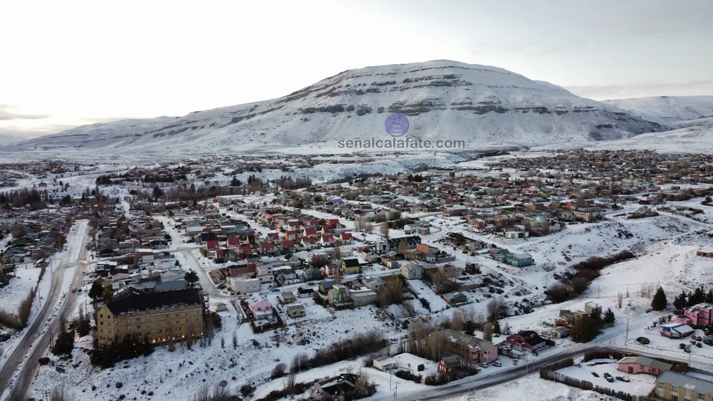 dji_fly_20260714_093138_880_1784033418202_photo_optimized