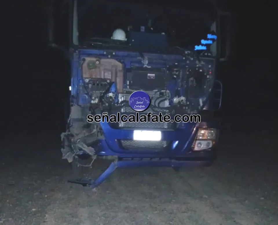 camion chocó caballo (2)