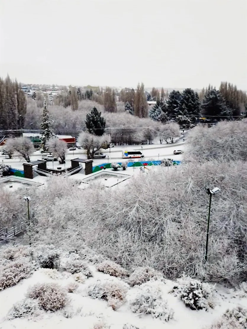 WhatsApp Image 2023-07-21 at 12.51.49