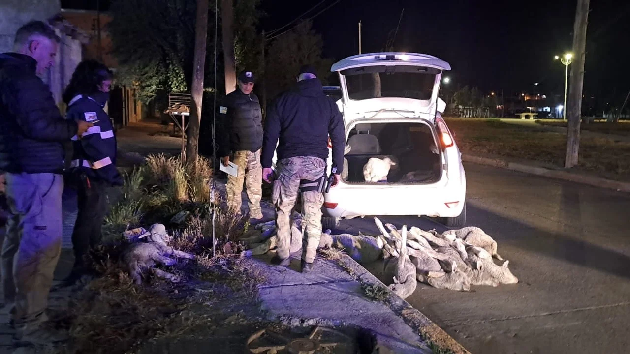 575199ad-0ad1-42ac-80ef-270392b6ddb6