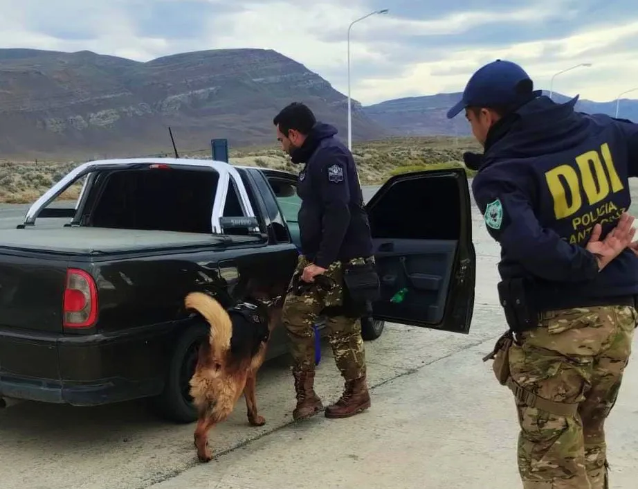 WhatsApp Image 2024-02-02 at 19.04.54