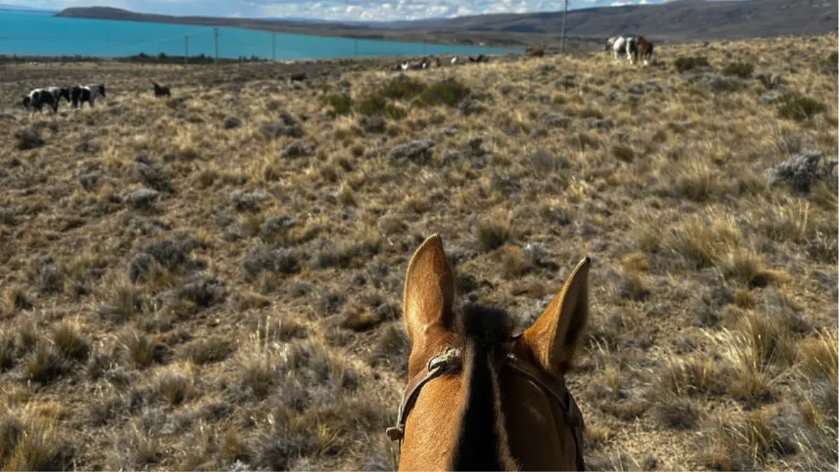 WhatsApp Image 2025-02-26 at 09.45